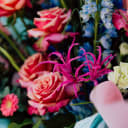 details of  flowers 