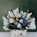 cerulean winter