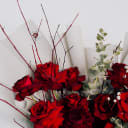 Velvet Kiss: 12 Long-Stem Red Roses