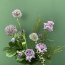 Beauty of Botanical Bliss