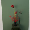 Amaryllis