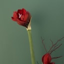 Artful. Evolving. Iconically festive