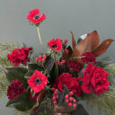 red flowers close up