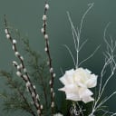 white roses
