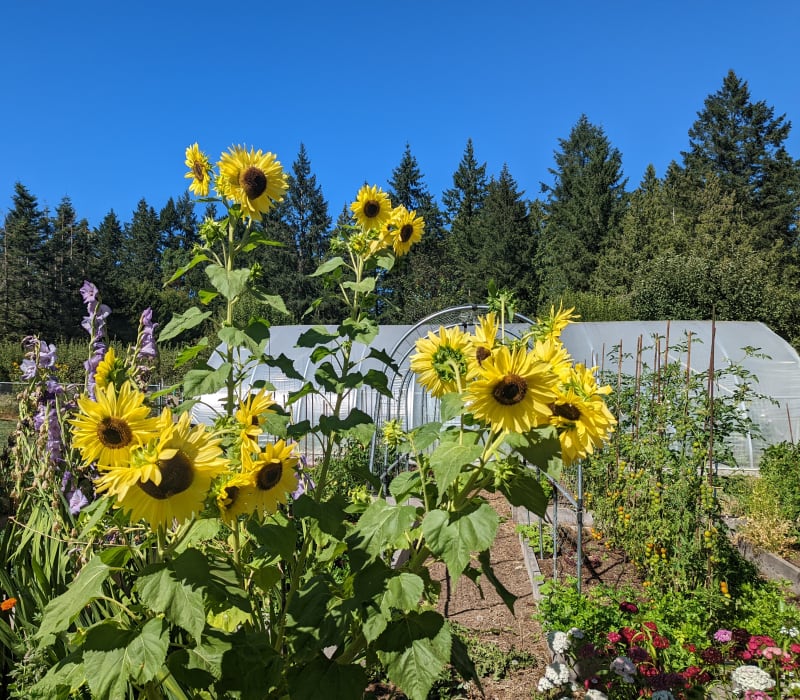 Registration table arrangement