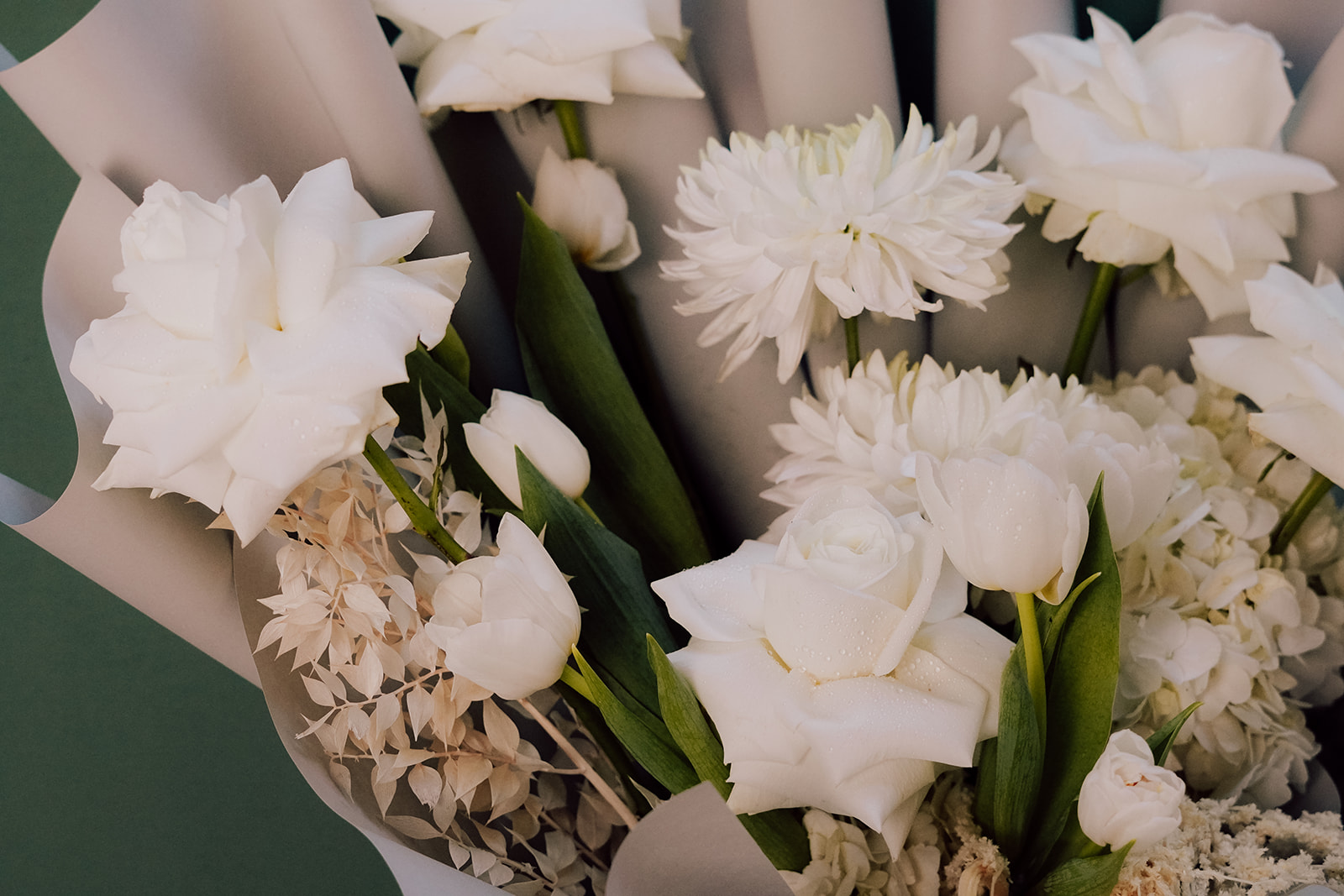 Whipped Cream white flowers