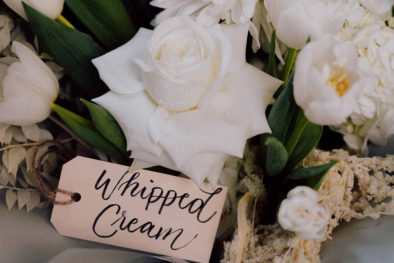 Whipped Cream white flowers