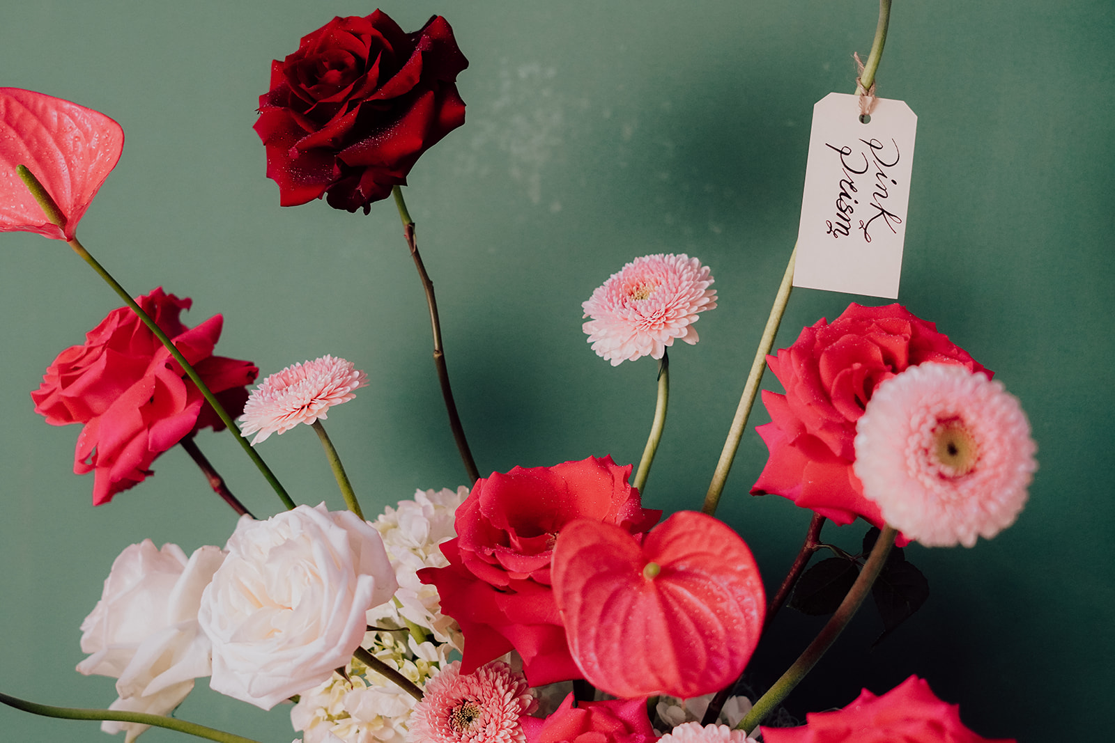 Pink Prism pink and rose flowers