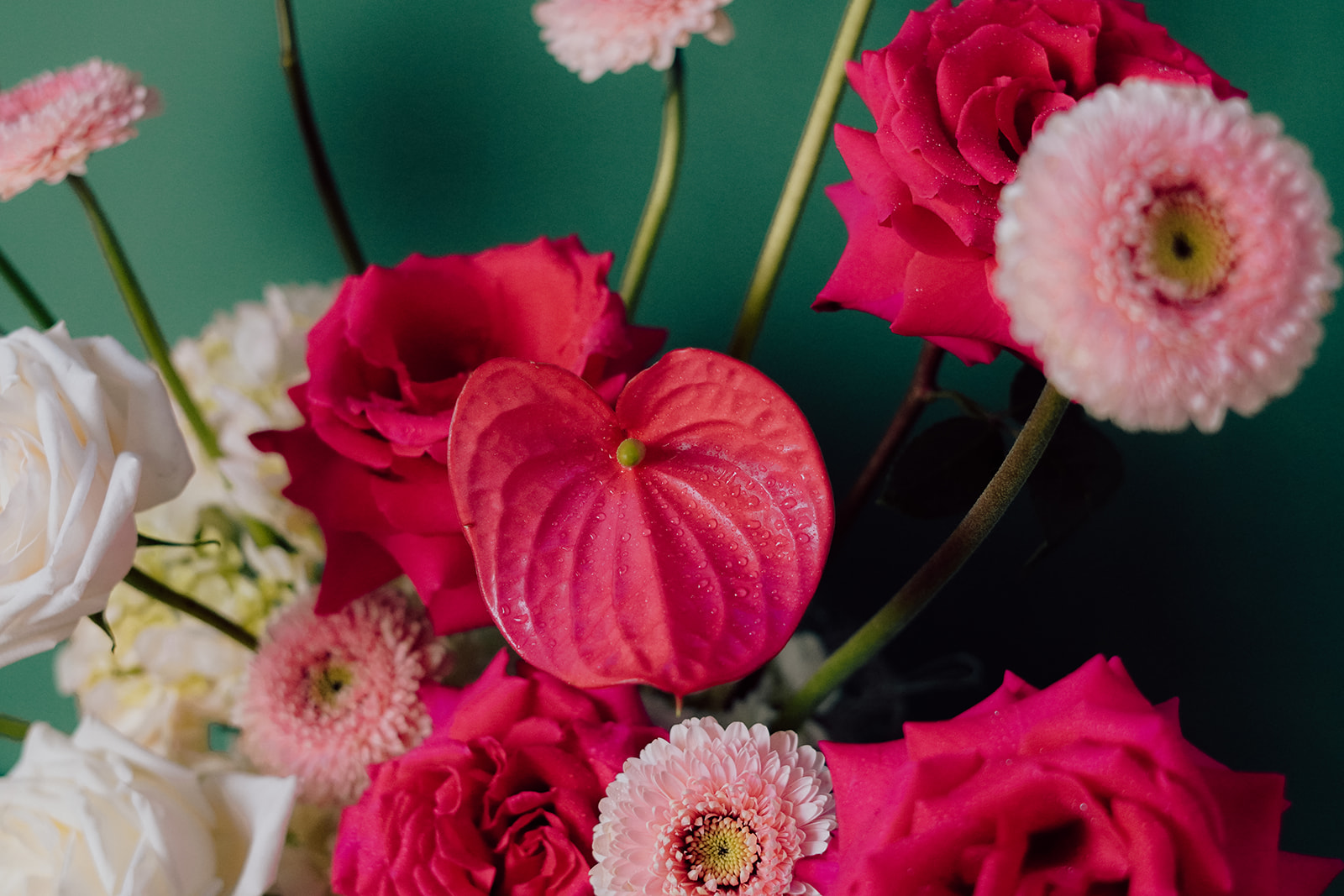 Pink Prism pink and rose flowers
