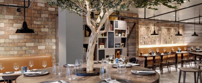 "mscgrandiosa__85D4583_hola_tapas_bar.jpg"