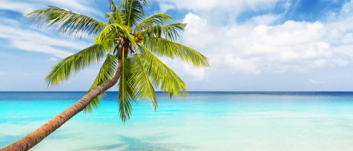 View of nice tropical beach.