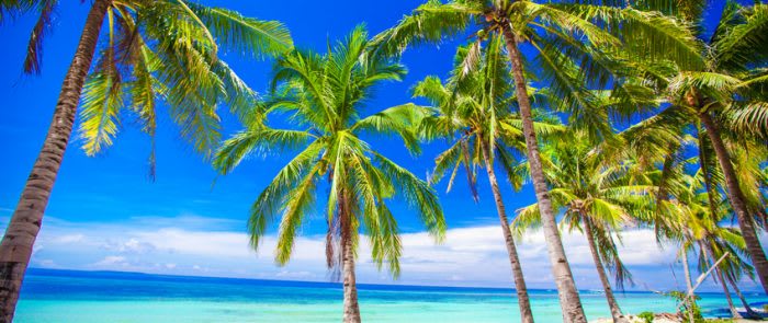 Beautiful tropical beach with palm trees, white sand, turquoise ocean water and blue sky