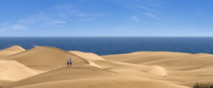 "C_sp_canary_GranCanaria_09.jpg"