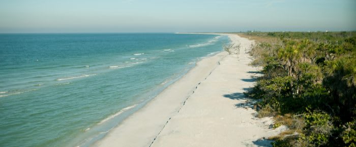 CAYO2