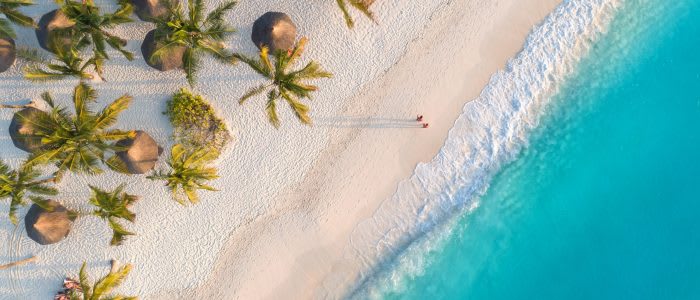 Aerial view of umbrellas, palms on the sandy beach of Indian Oce