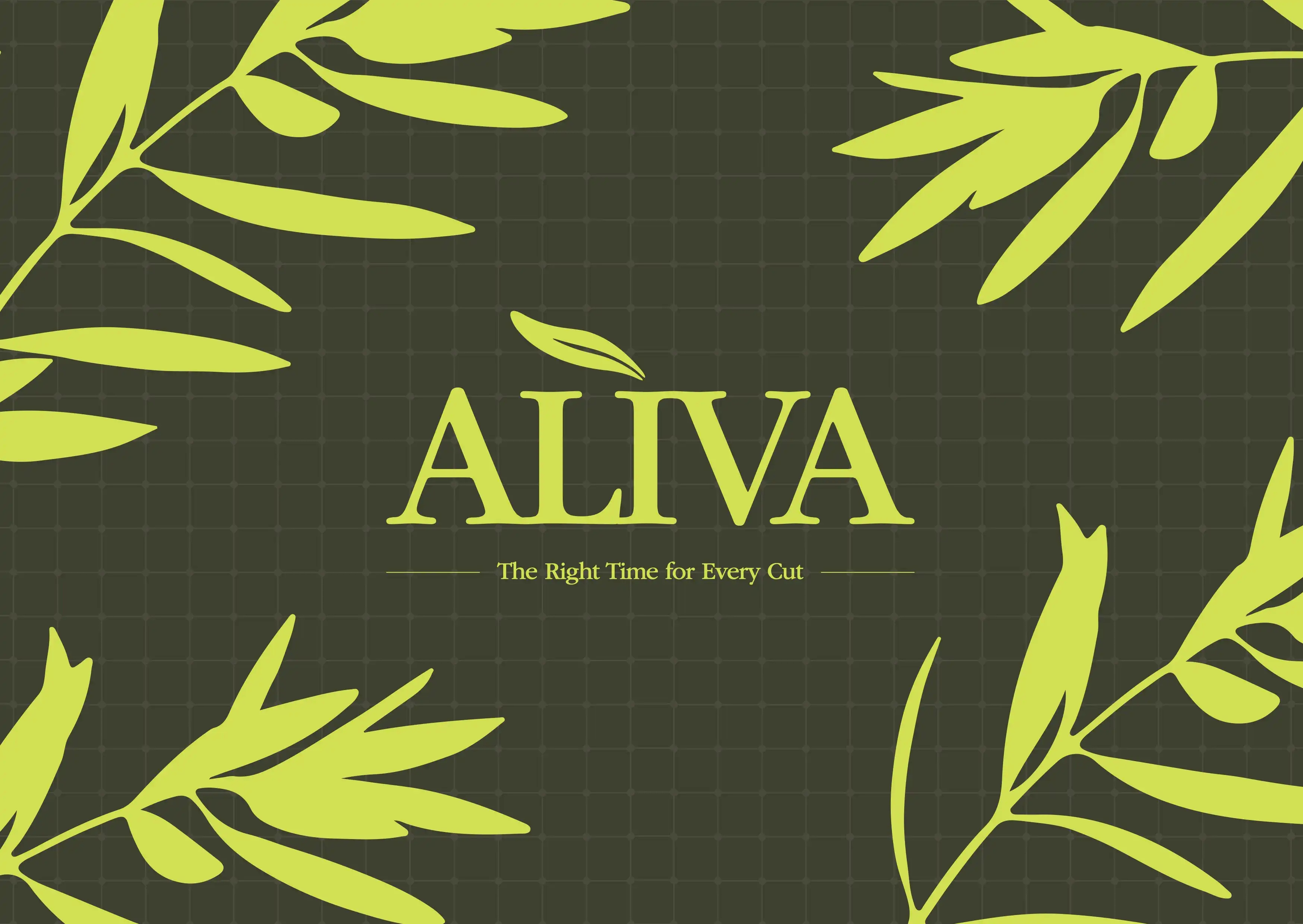 Alìva Product Service System Design