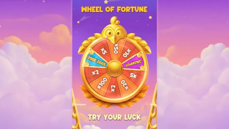 Chicken Plinko Only Play — multiplicateur