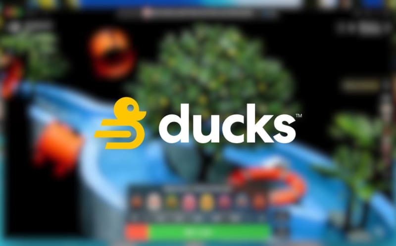 Ducks 155.io — casino multiplier