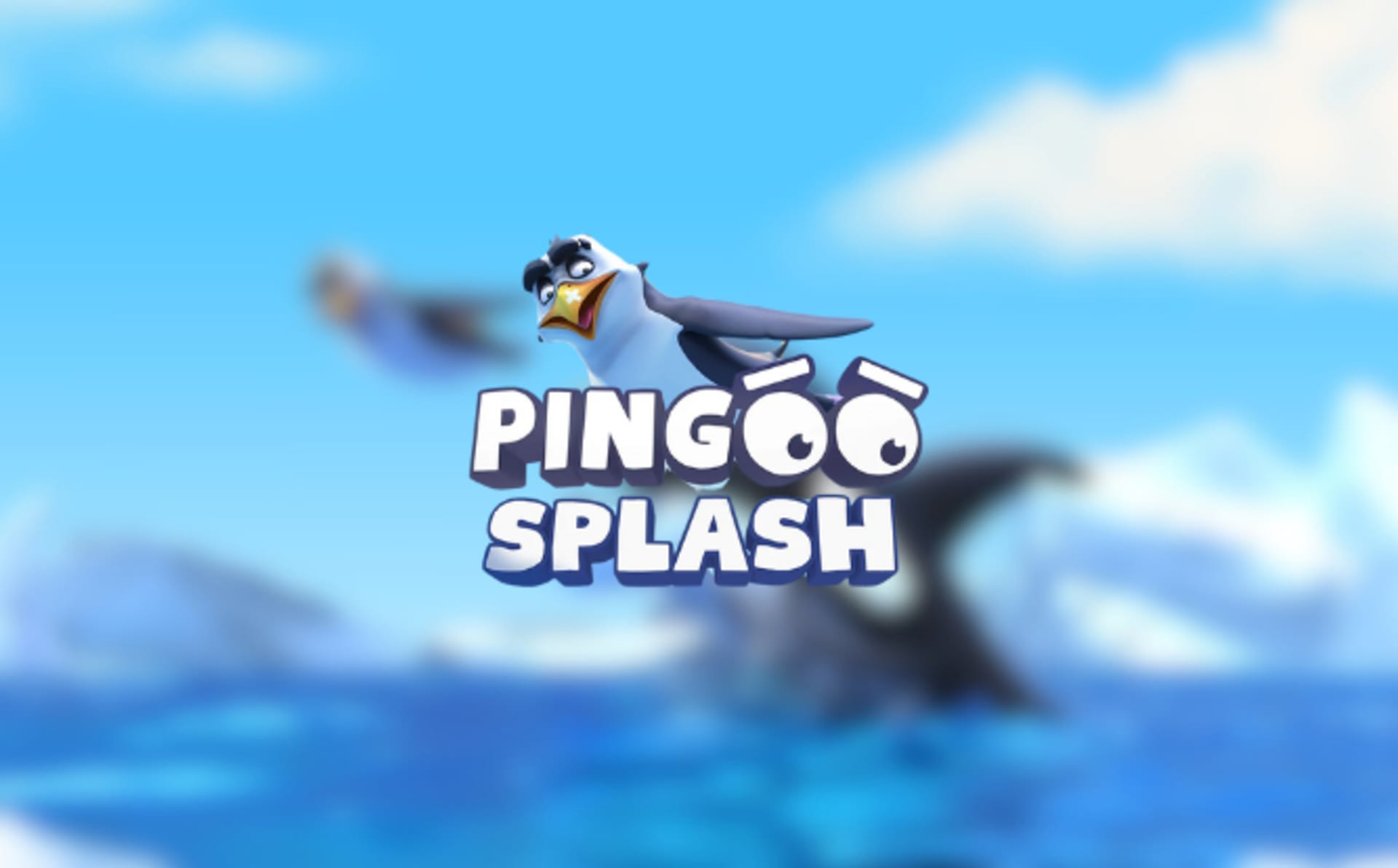 Pingoo Splash