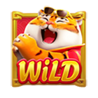 Wild Fortune Tiger