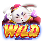 Wild Fortune Rabbit Wild Fortune Rabbit