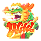 Wild Fortune Dragon Wild Fortune Dragon