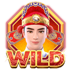 Wild Double Fortune