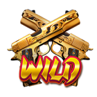 Wild Symbol