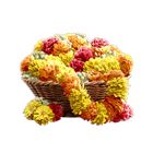 Flores Ganesha Fortune Flores Ganesha Fortune