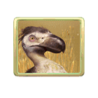 Bico-de-tamanco Jurassic Kingdom Bico-de-tamanco Jurassic Kingdom