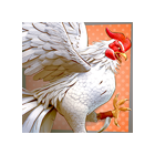 Galo branco Rooster Rumble Galo branco Rooster Rumble