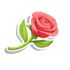 Flor Reel Love