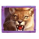 Lince Buffalo Win Lince Buffalo Win