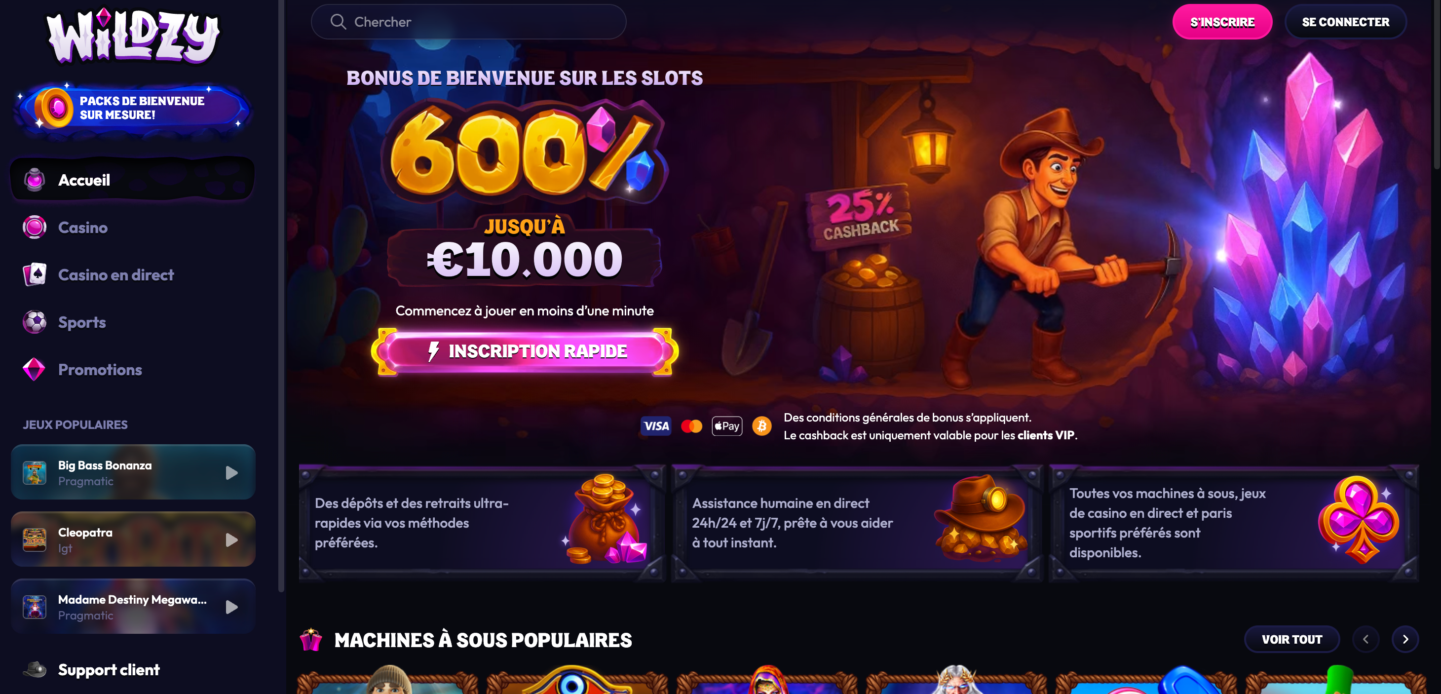 présentation Wildzy Casino