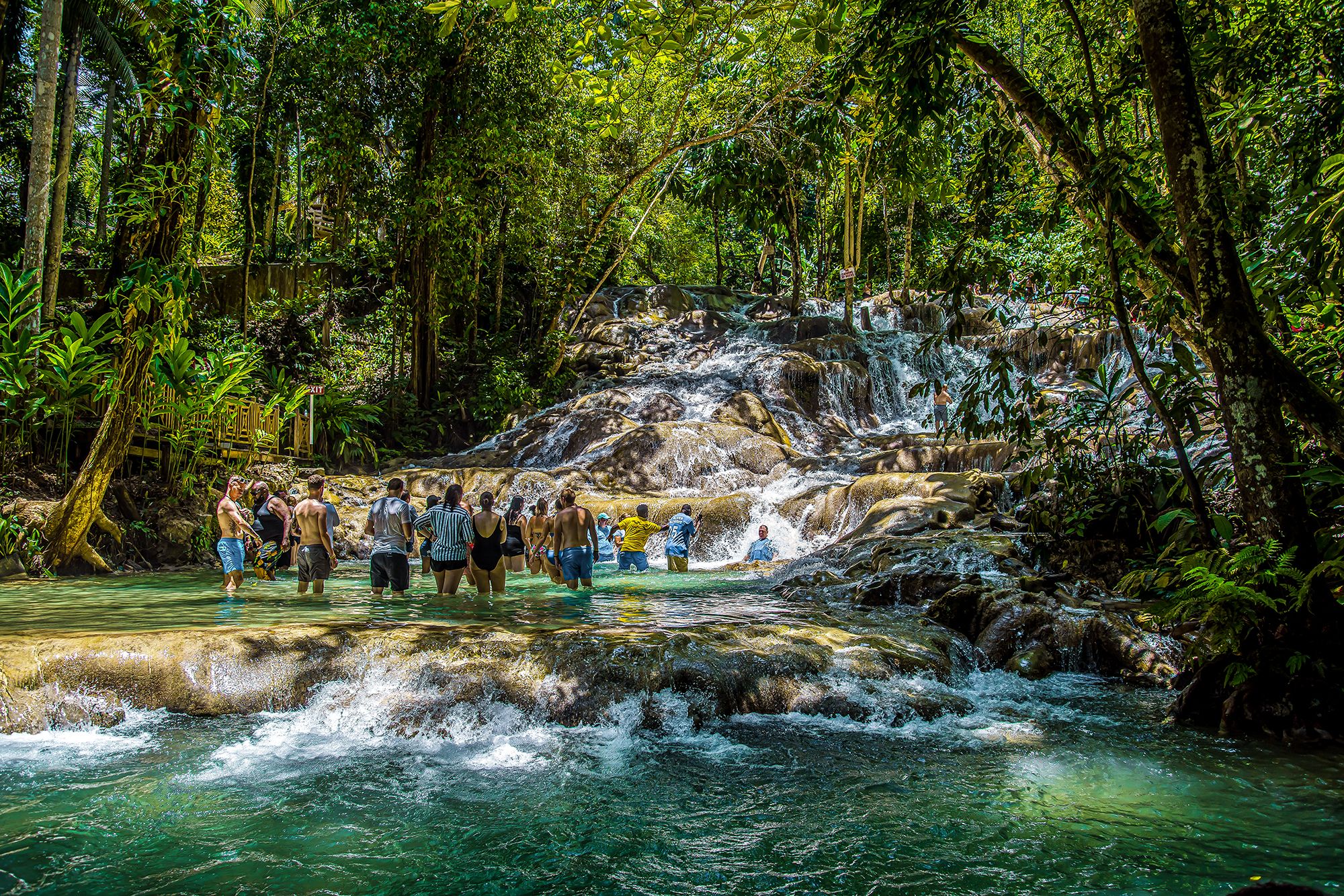 Dunn's River Falls Climb detail 1