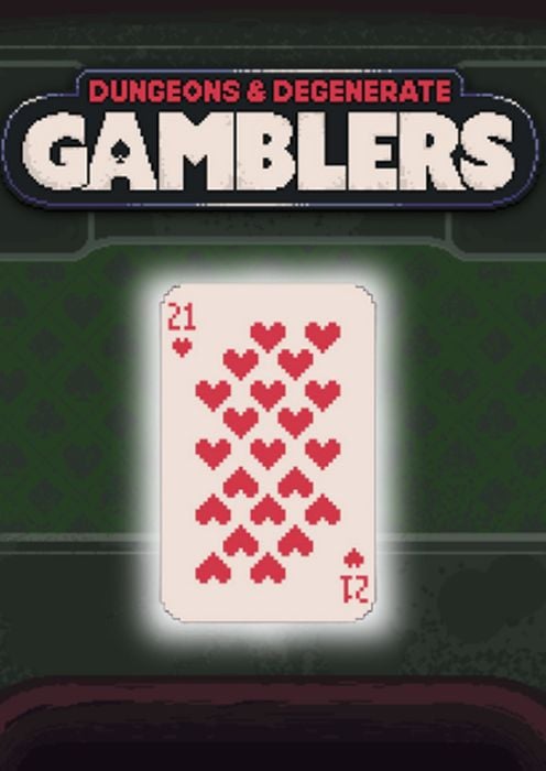 Dungeons & Degenerate Gamblers PC