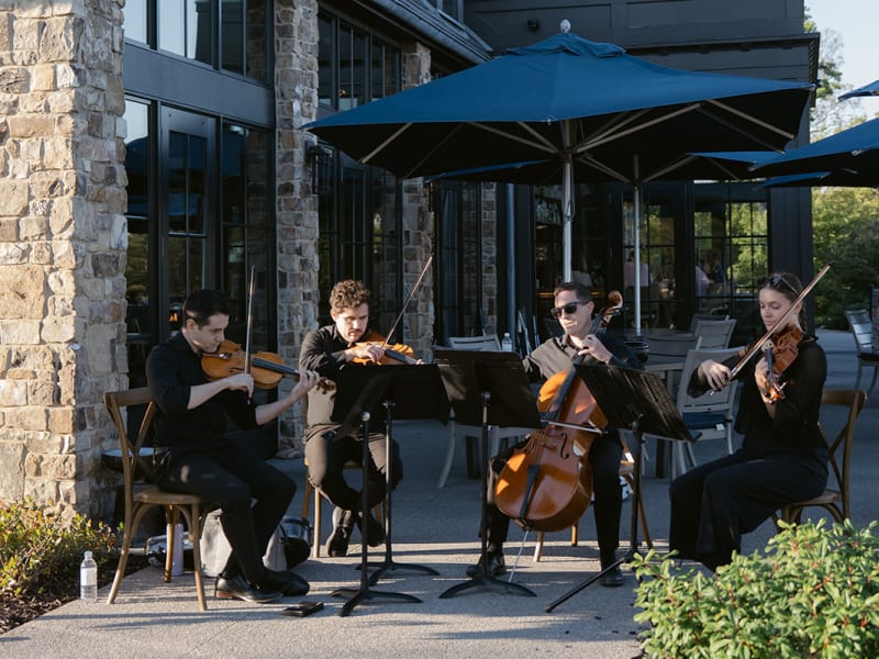 Southern Strings