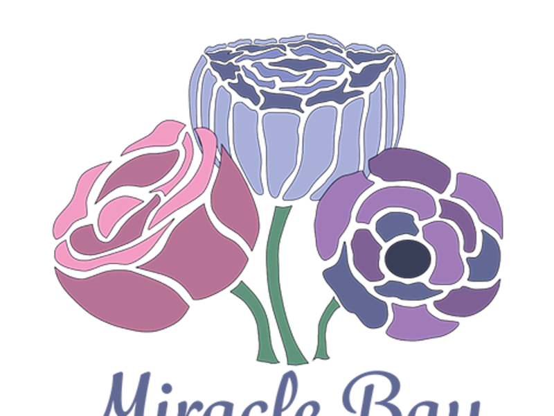 Miracle Bay Studios