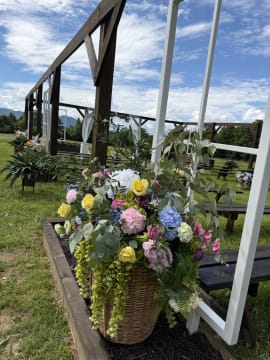 Sunset Meadows photo 5