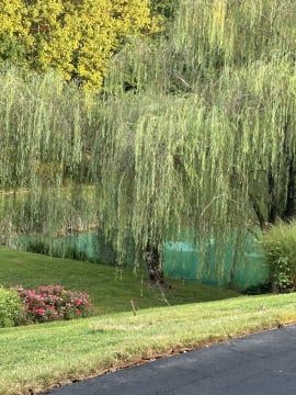 Willow Ridge Special Event Center photo 4
