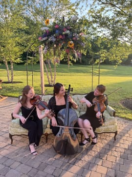 Southern Strings photo 2
