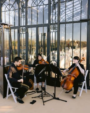 Southern Strings photo 3