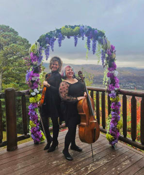 Southern Strings photo 4
