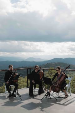 Southern Strings photo 5
