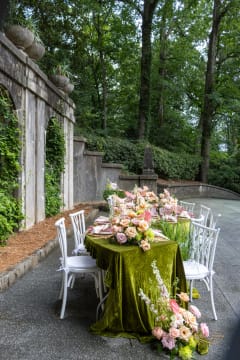 Jannifer Lewis Photography photo 2