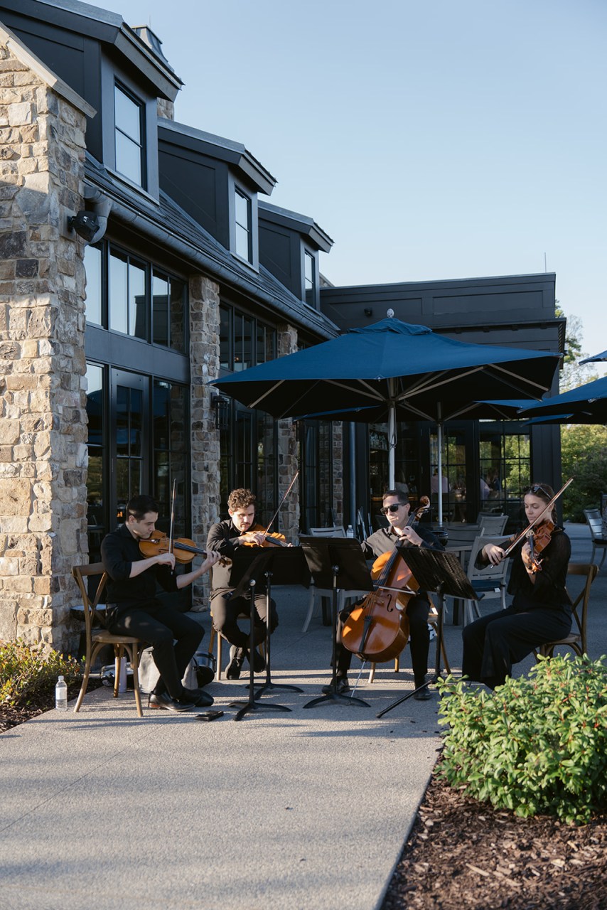 Southern Strings photo 1