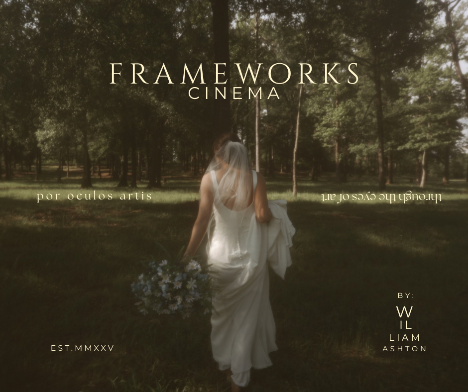 FRAMEWORKS CINEMA photo 4