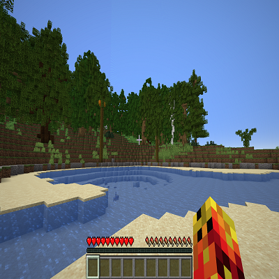 survival on a island