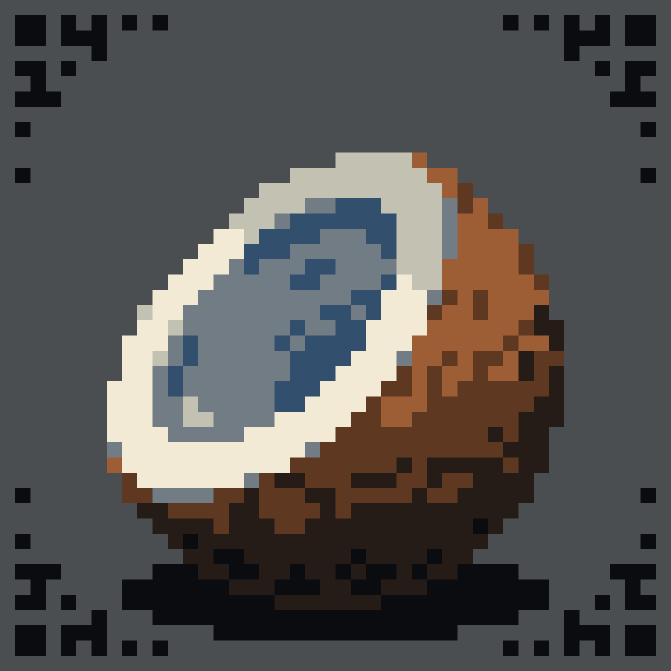 Coconut Life