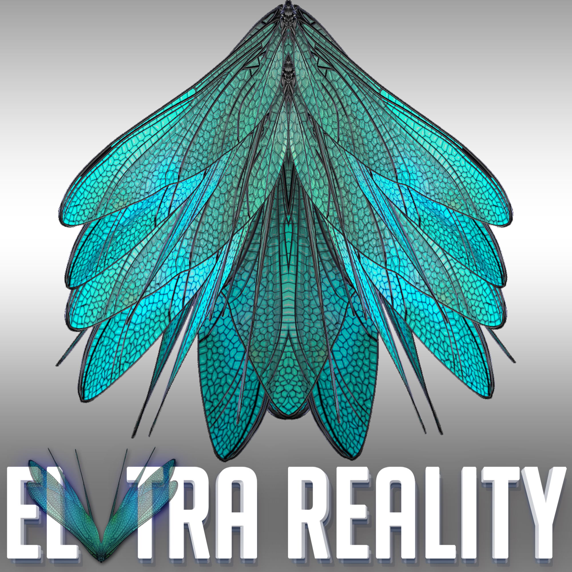 ELYTRA REALITY 0001